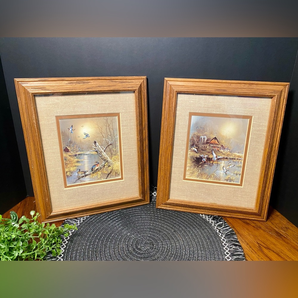 Windsor Art Country Ducks 1 & 2 Framed‎ Set